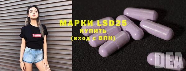 ПСИЛОЦИБИНОВЫЕ ГРИБЫ Вяземский