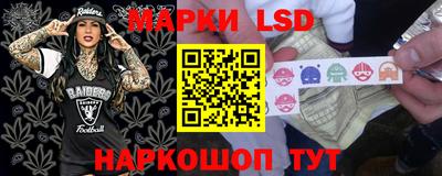 гидропоника Заволжье