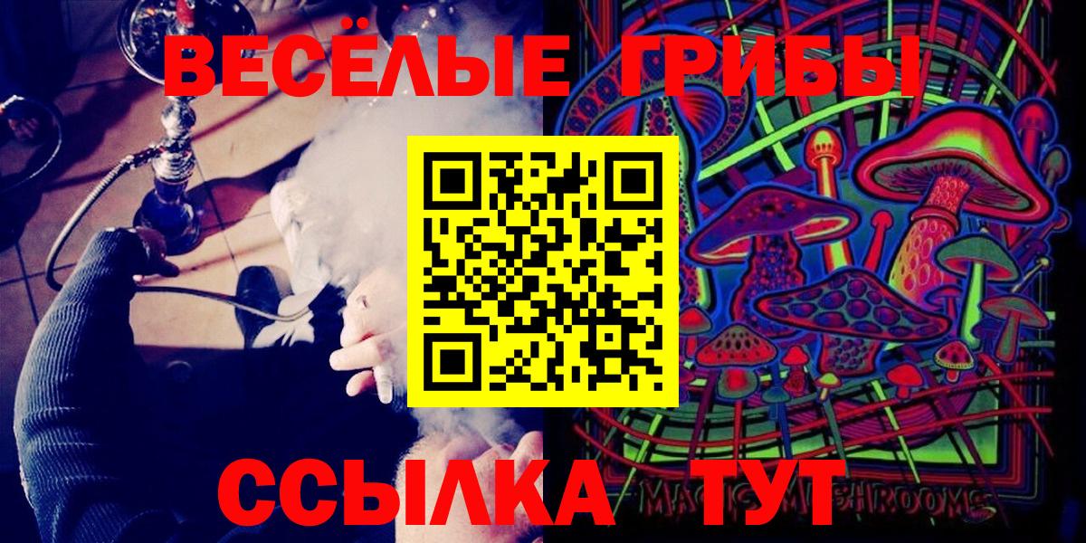 Псилоцибиновые грибы ЛСД  Вход с VPN  Курчатов  Псилоцибиновые грибы GOLDEN TEACHER 