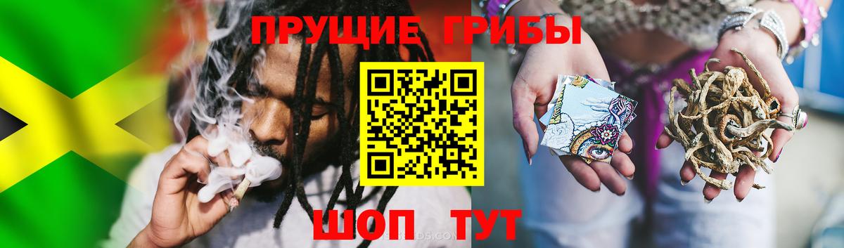 Галлюциногенные грибы мухоморы Курчатов